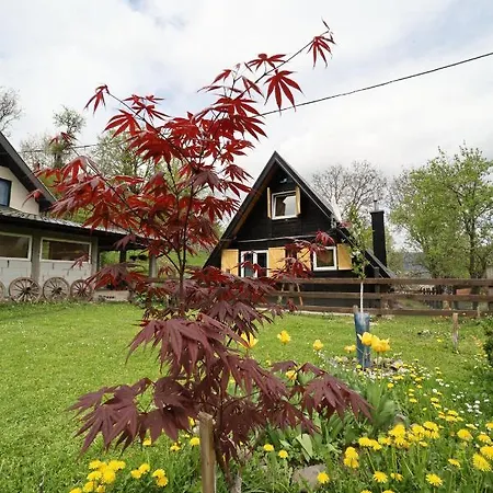 Casa de Férias Planinska Kuca Bubi - Tara, Zaovine.