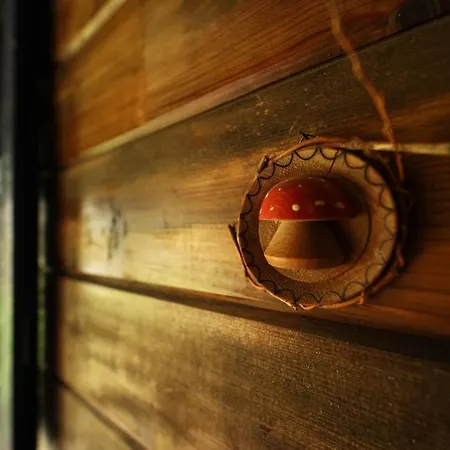 Planinska Kuca Bubi - Tara, Zaovine. *