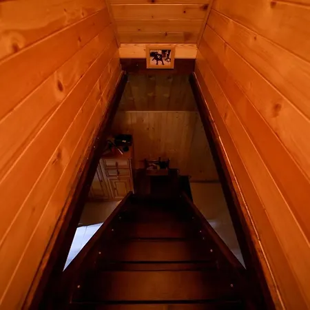 Planinska Kuca Bubi - Tara, Zaovine. *