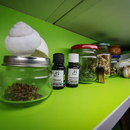 Planinska Kuca Bubi - Tara, Zaovine. *