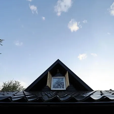 Casa de Férias Planinska Kuca Bubi - Tara, Zaovine.