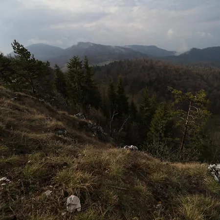 Planinska Kuca Bubi - Tara, Zaovine. *