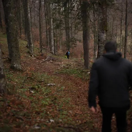 Casa de Férias Planinska Kuca Bubi - Tara, Zaovine. Jezdici