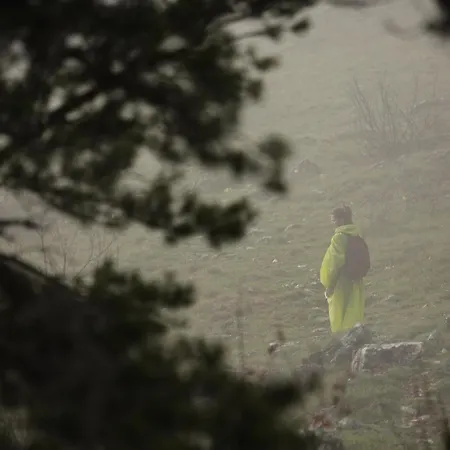 Planinska Kuca Bubi - Tara, Zaovine. Casa de Férias Jezdici