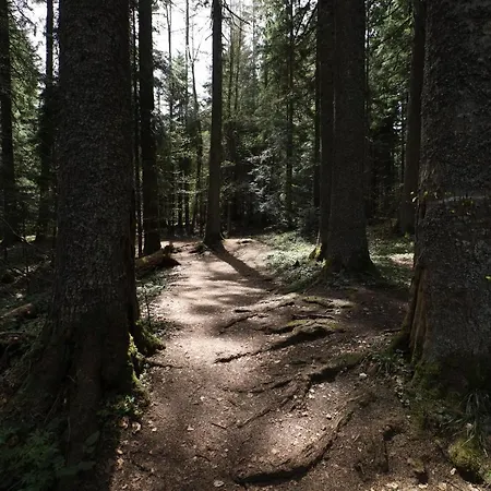Planinska Kuca Bubi - Tara, Zaovine.