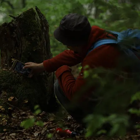 Planinska Kuca Bubi - Tara, Zaovine. Casa de Férias *