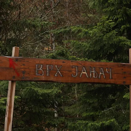 Planinska Kuca Bubi - Tara, Zaovine. Holiday home