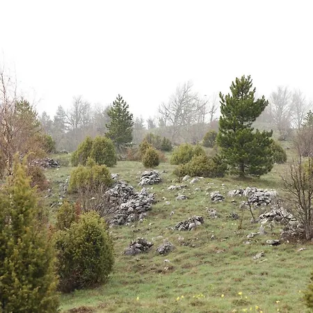 Planinska Kuca Bubi - Tara, Zaovine.