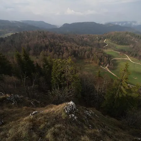 Planinska Kuca Bubi - Tara, Zaovine. Casa de Férias *