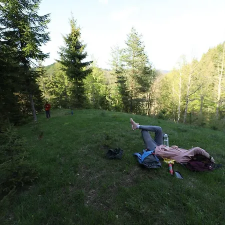 Casa de Férias Planinska Kuca Bubi - Tara, Zaovine. *