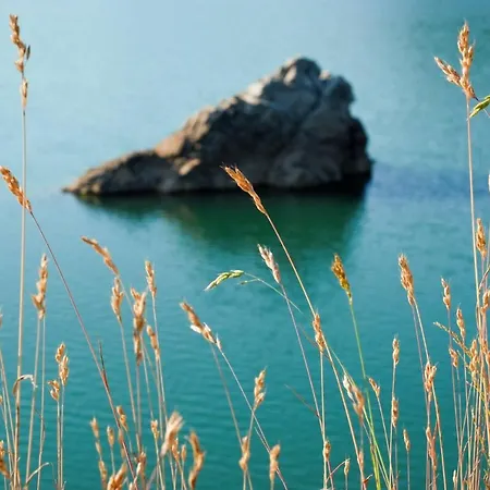 Planinska Kuca Bubi - Tara, Zaovine. *