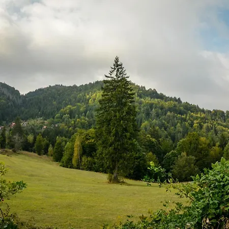 Planinska Kuca Bubi - Tara, Zaovine. * Jezdici