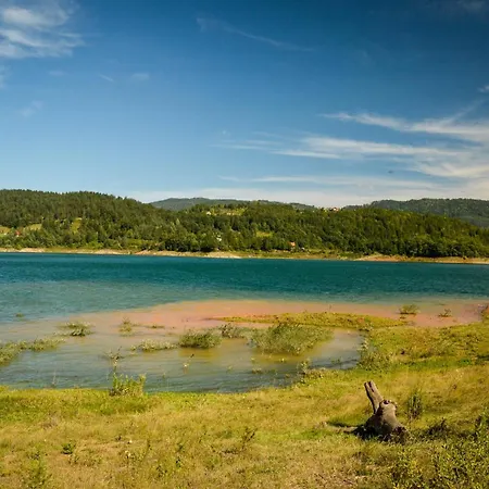 Planinska Kuca Bubi - Tara, Zaovine. Casa de Férias *