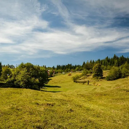 Planinska Kuca Bubi - Tara, Zaovine. Casa de Férias Jezdici