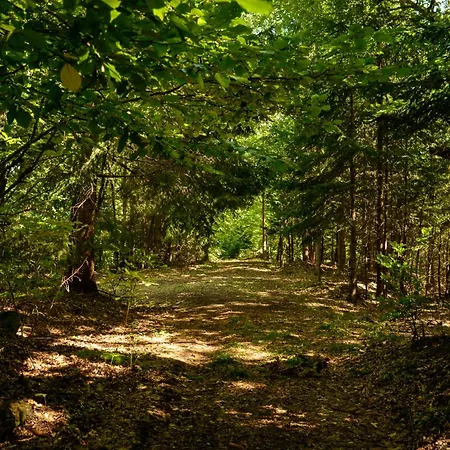 Planinska Kuca Bubi - Tara, Zaovine. Jezdici