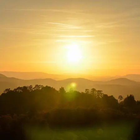 Planinska Kuca Bubi - Tara, Zaovine. Jezdici