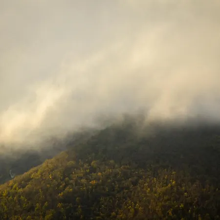 Planinska Kuca Bubi - Tara, Zaovine.