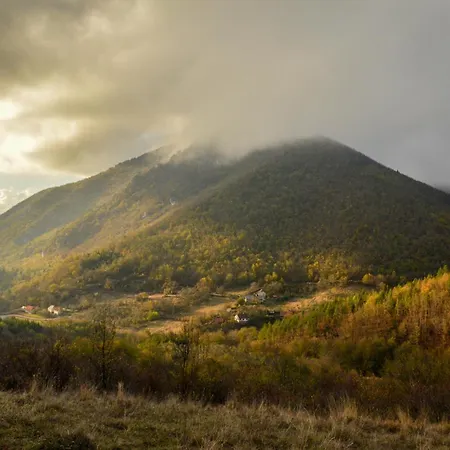 Planinska Kuca Bubi - Tara, Zaovine. Casa de Férias *