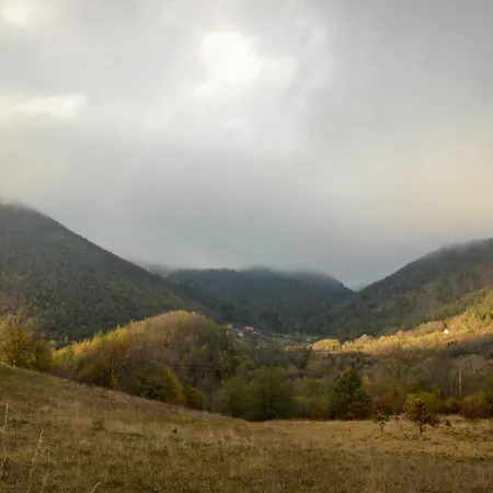 Planinska Kuca Bubi - Tara, Zaovine. Jezdici