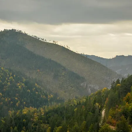 Planinska Kuca Bubi - Tara, Zaovine.
