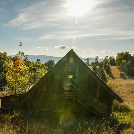 Planinska Kuca Bubi - Tara, Zaovine. Jezdici