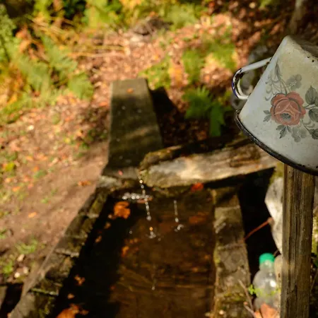 Casa de Férias Planinska Kuca Bubi - Tara, Zaovine. *