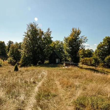 Planinska Kuca Bubi - Tara, Zaovine. Holiday home *