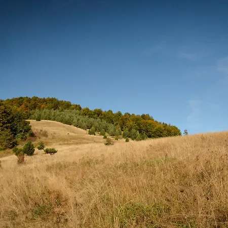Casa de Férias Planinska Kuca Bubi - Tara, Zaovine. *