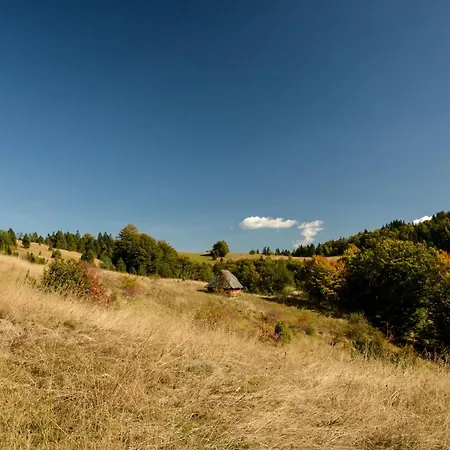 Planinska Kuca Bubi - Tara, Zaovine.