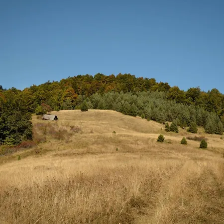 Casa de Férias Planinska Kuca Bubi - Tara, Zaovine. *
