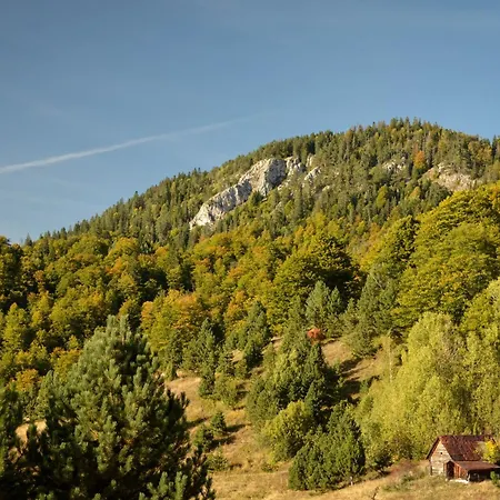 Casa de Férias Planinska Kuca Bubi - Tara, Zaovine. Jezdici