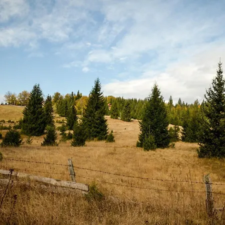Planinska Kuca Bubi - Tara, Zaovine. Jezdici