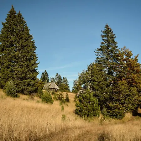 Planinska Kuca Bubi - Tara, Zaovine.