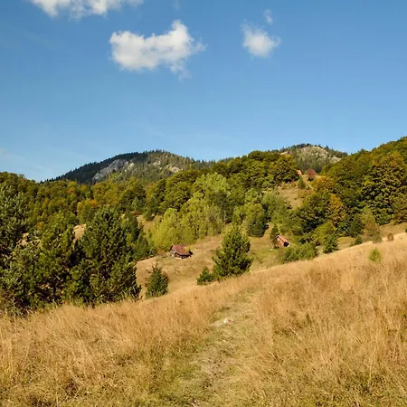 Casa de Férias Planinska Kuca Bubi - Tara, Zaovine. Jezdici