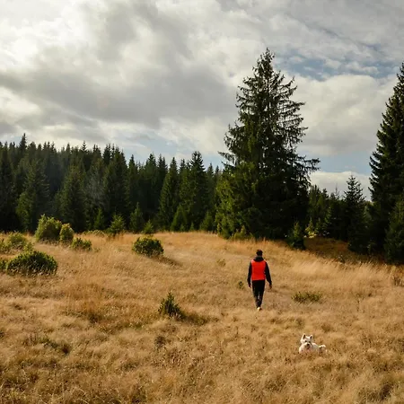 Planinska Kuca Bubi - Tara, Zaovine. Jezdici