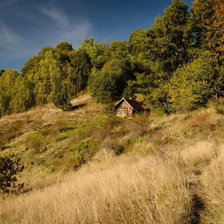 Planinska Kuca Bubi - Tara, Zaovine. * Jezdici