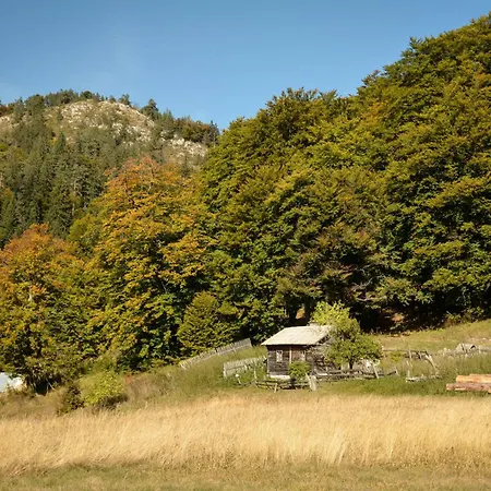 Planinska Kuca Bubi - Tara, Zaovine. Casa de Férias