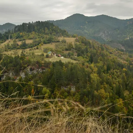 Planinska Kuca Bubi - Tara, Zaovine. Holiday home