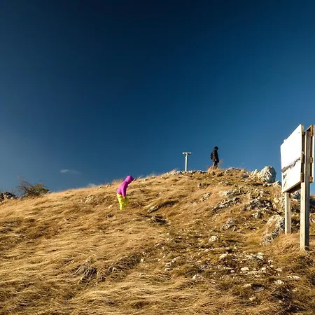Planinska Kuca Bubi - Tara, Zaovine. Jezdici